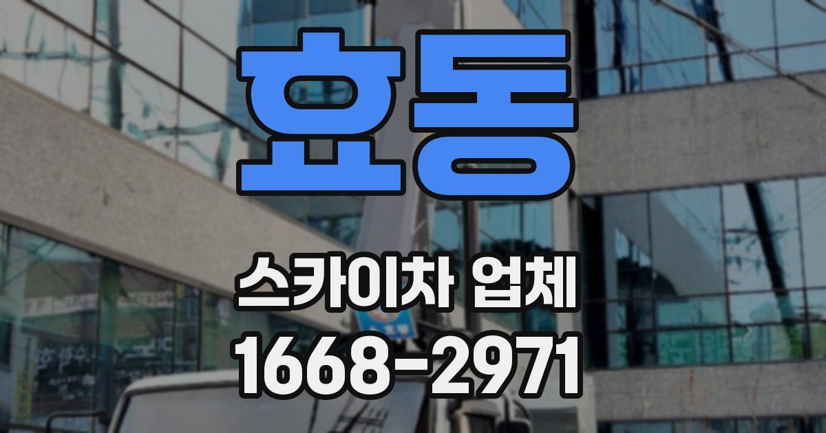 효동 스카이차 업체