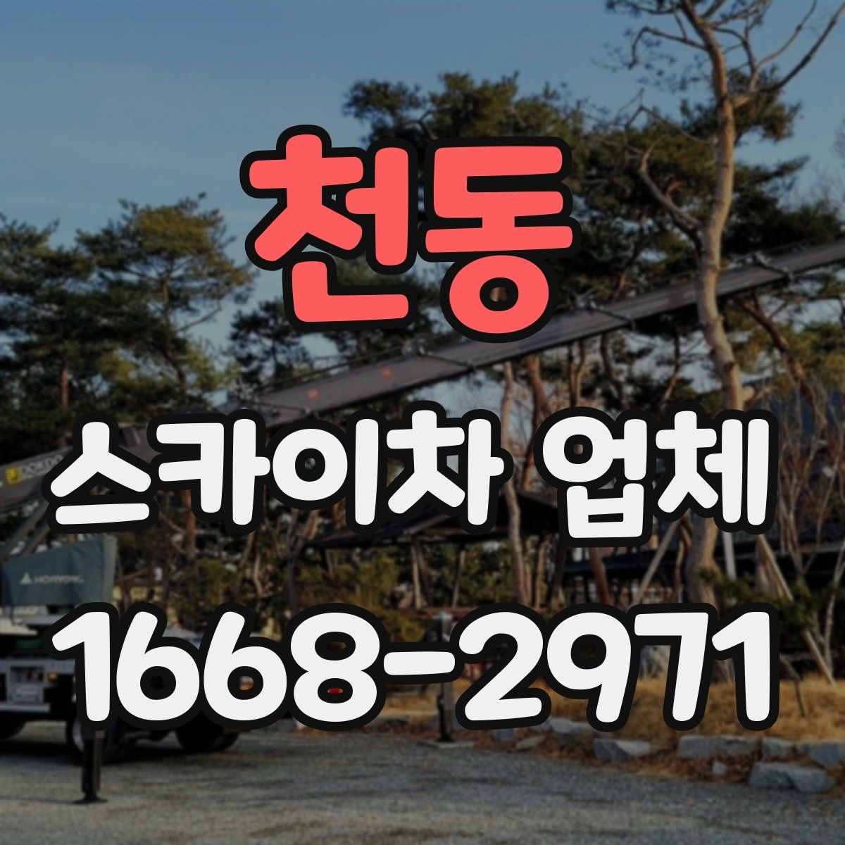 천동 스카이차 업체