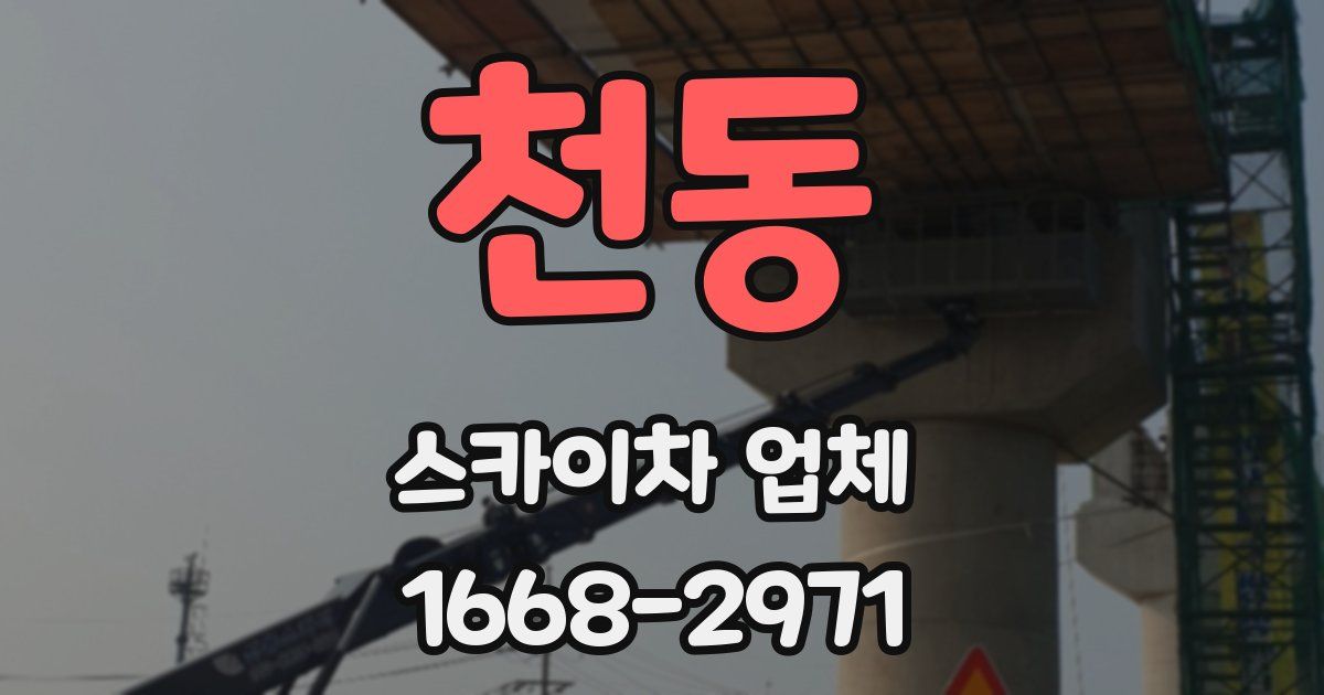 천동 스카이차 업체