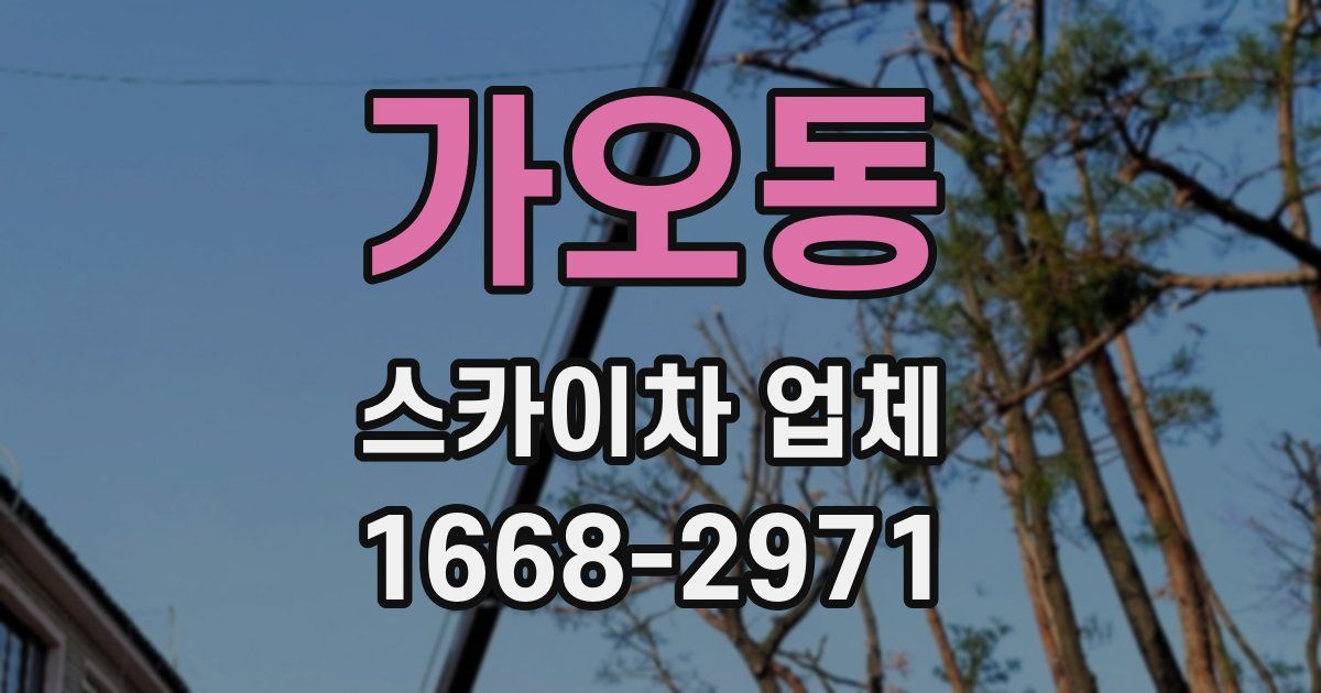 가오동 스카이차 업체