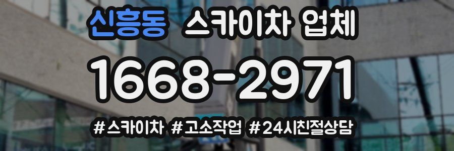 신흥동 스카이차 업체