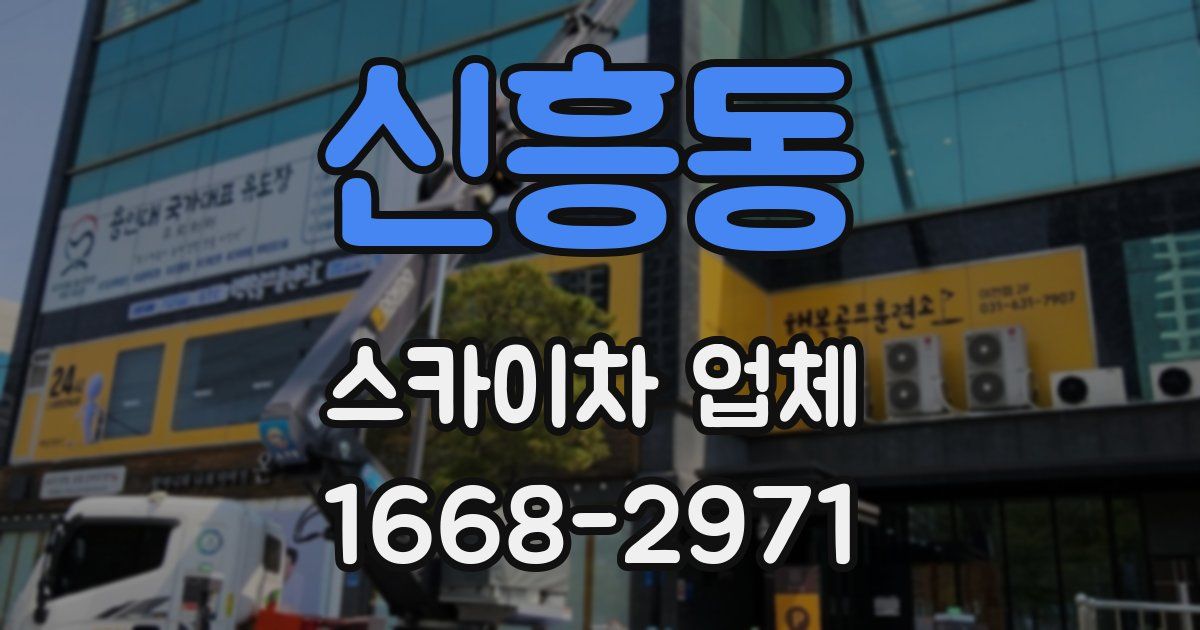 신흥동 스카이차 업체