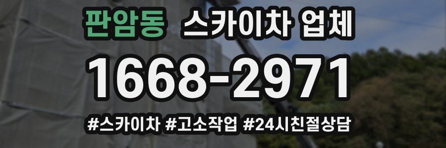 판암동 스카이차 업체