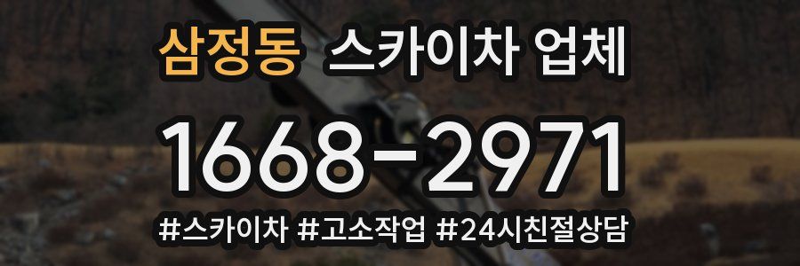 삼정동 스카이차 업체