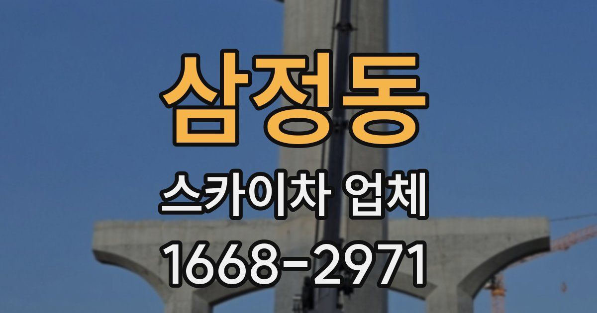 삼정동 스카이차 업체