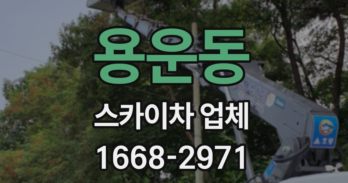 용운동 스카이차 업체