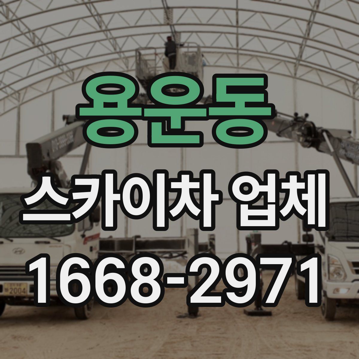 용운동 스카이차 업체