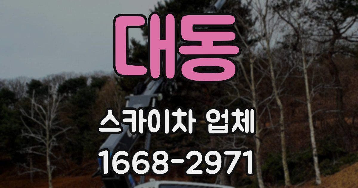 대동 스카이차 업체