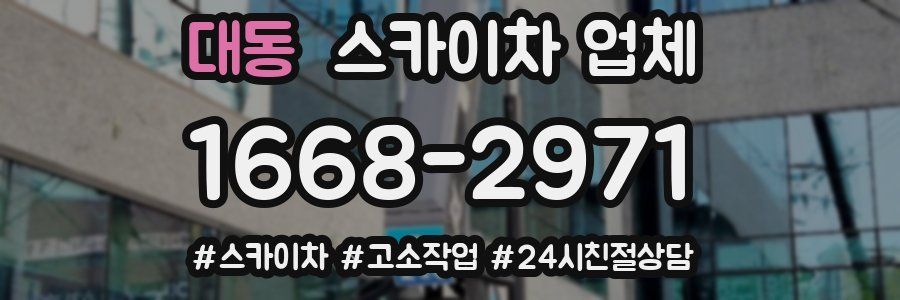 대동 스카이차 업체