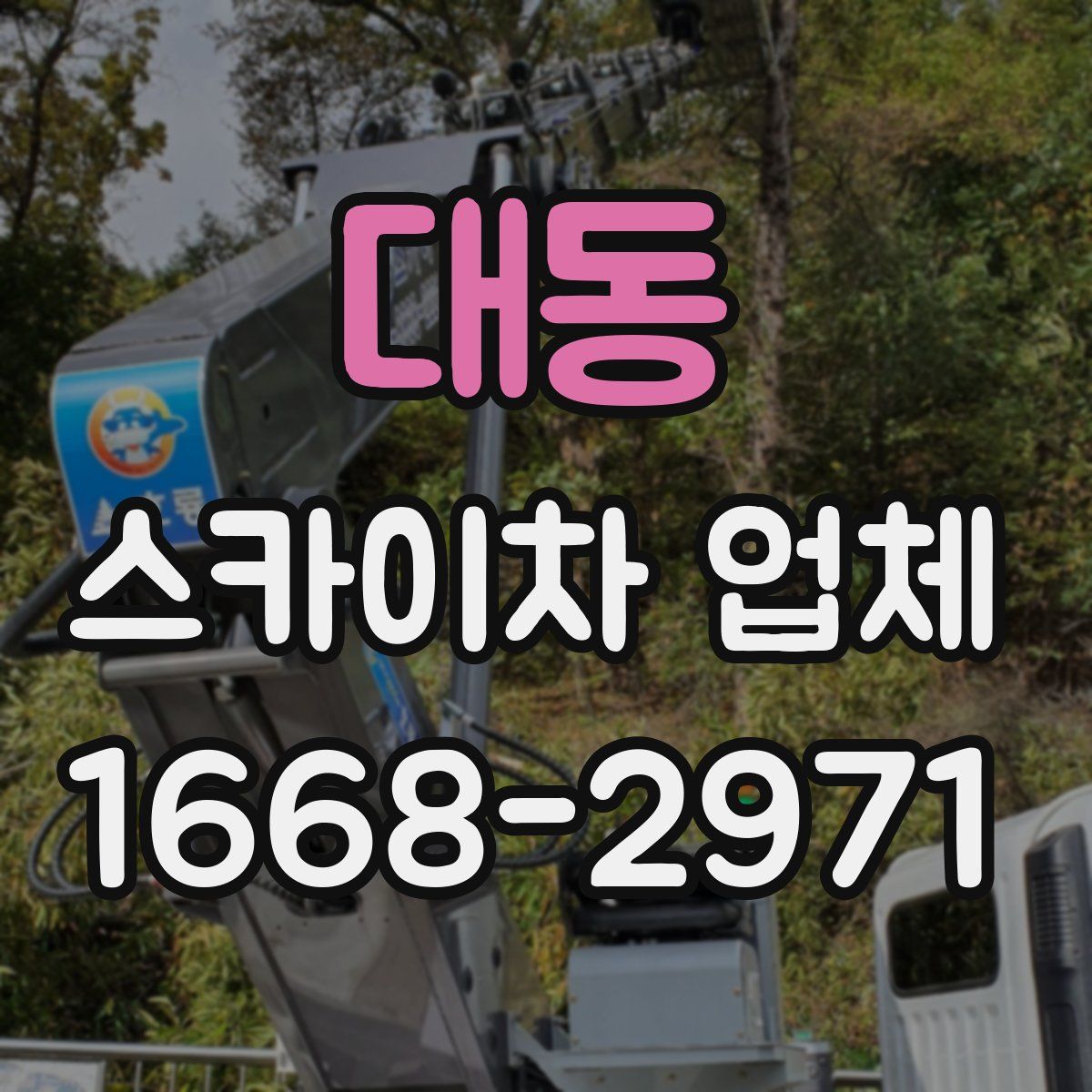 대동 스카이차 업체