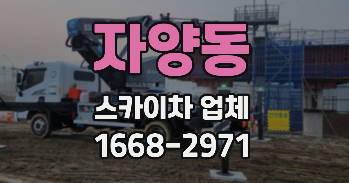 자양동 스카이차 업체