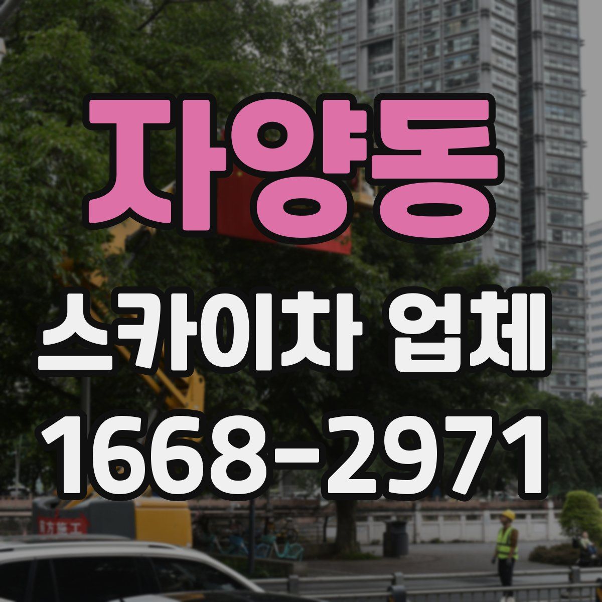 자양동 스카이차 업체