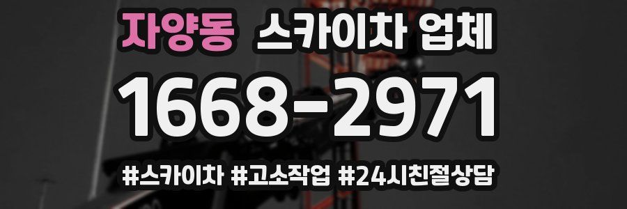 자양동 스카이차 업체