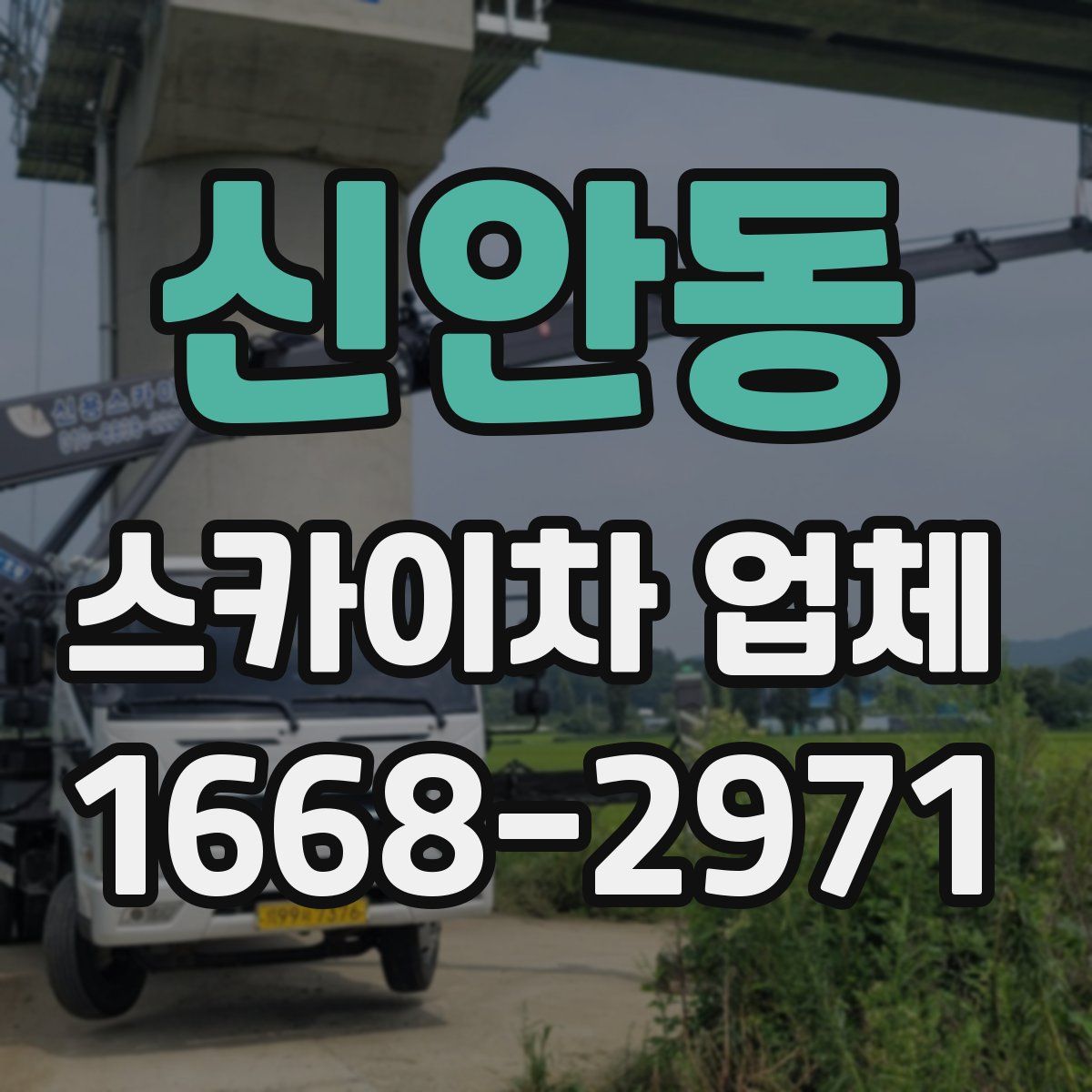 신안동 스카이차 업체