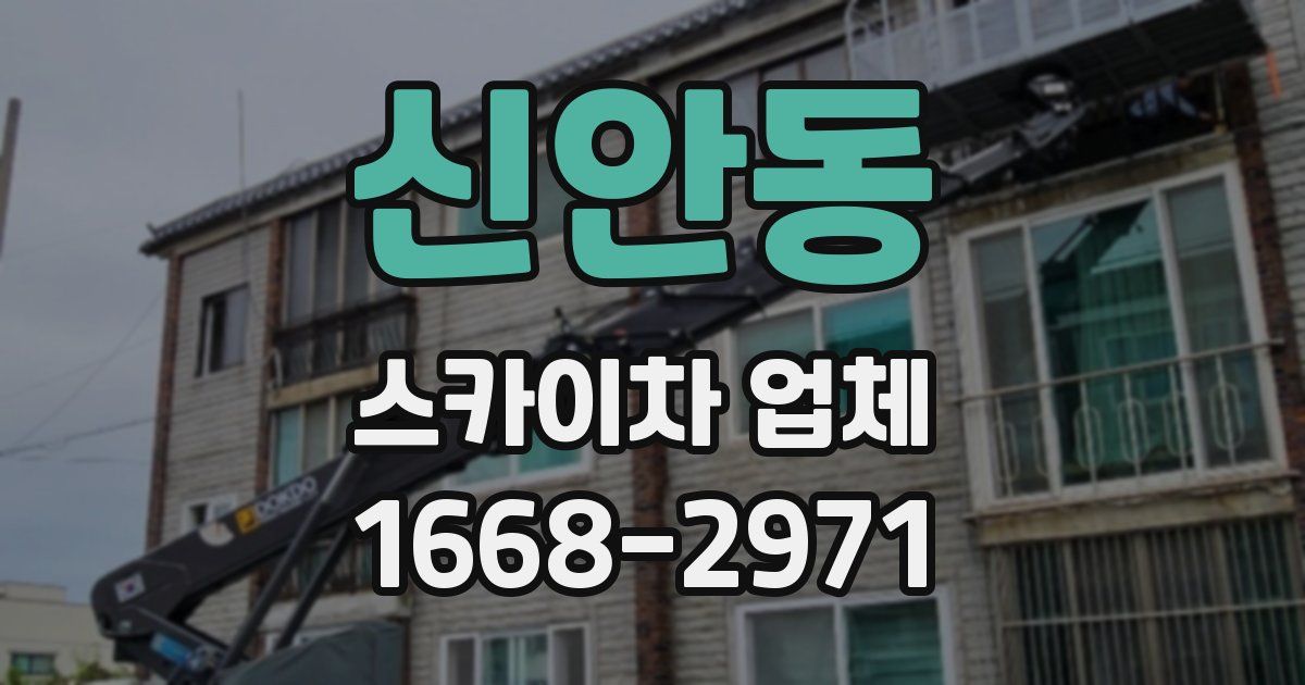 신안동 스카이차 업체