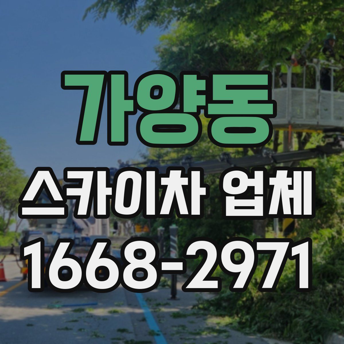 가양동 스카이차 업체