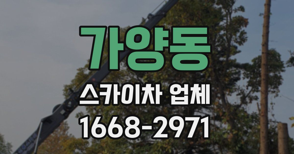 가양동 스카이차 업체
