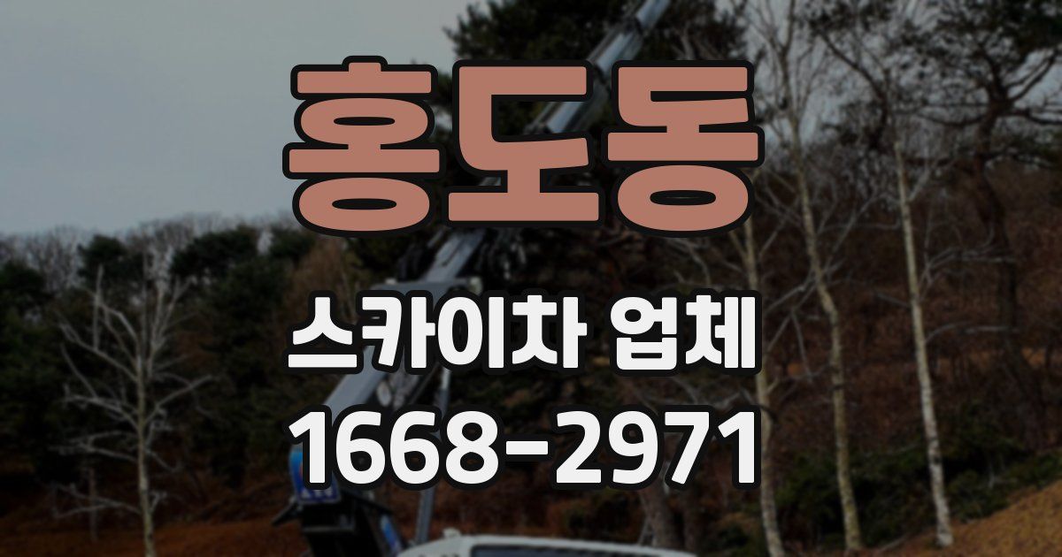 홍도동 스카이차 업체
