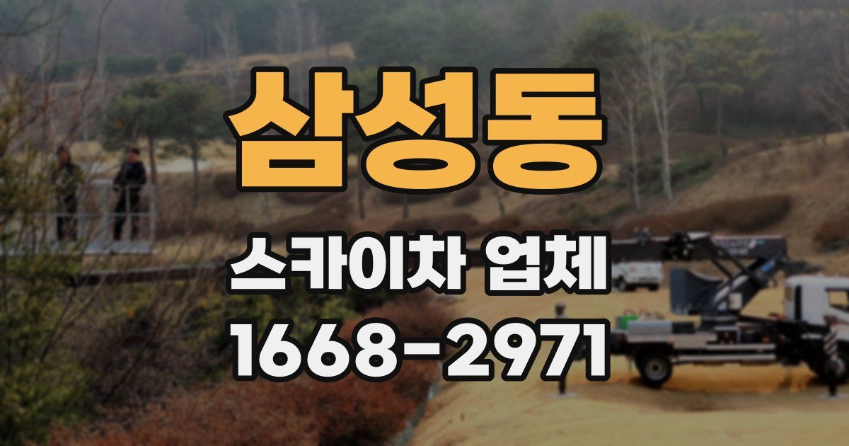 삼성동 스카이차 업체