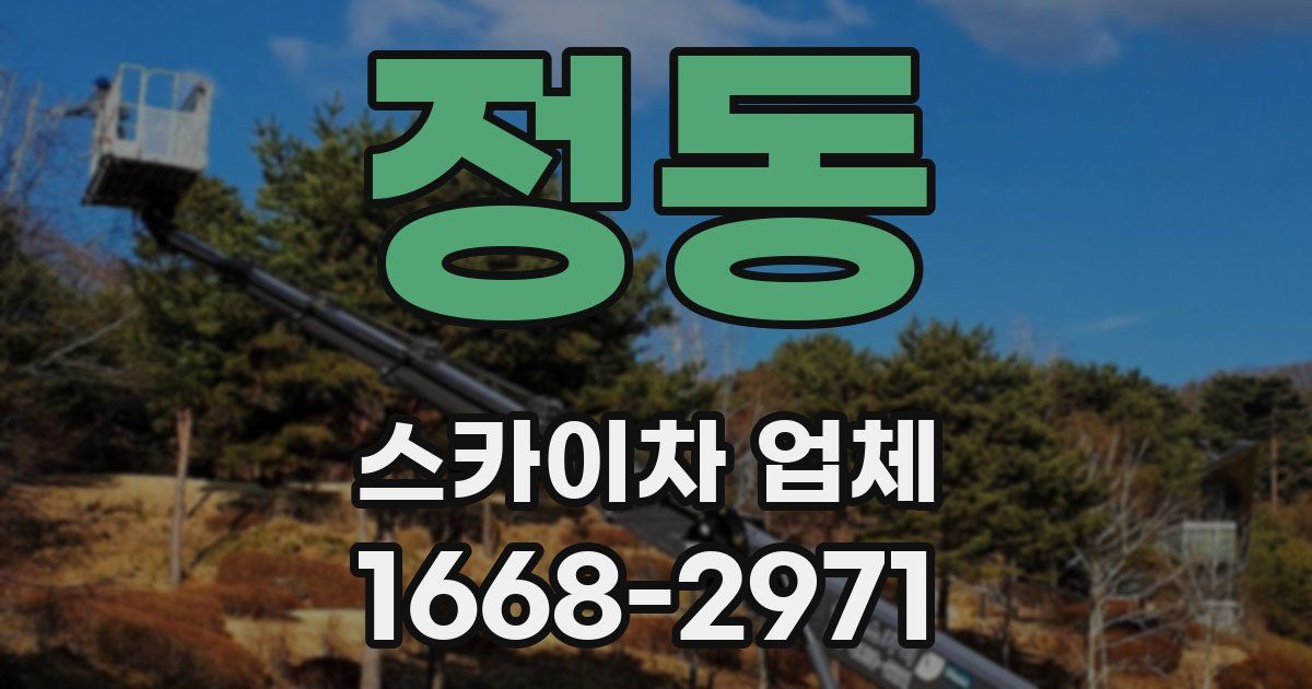 정동 스카이차 업체