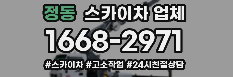 정동 스카이차 업체