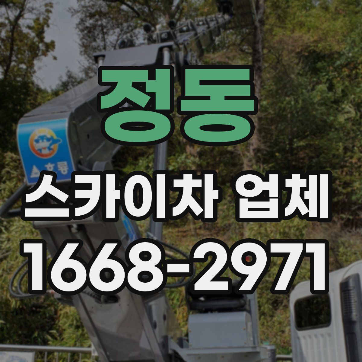 정동 스카이차 업체