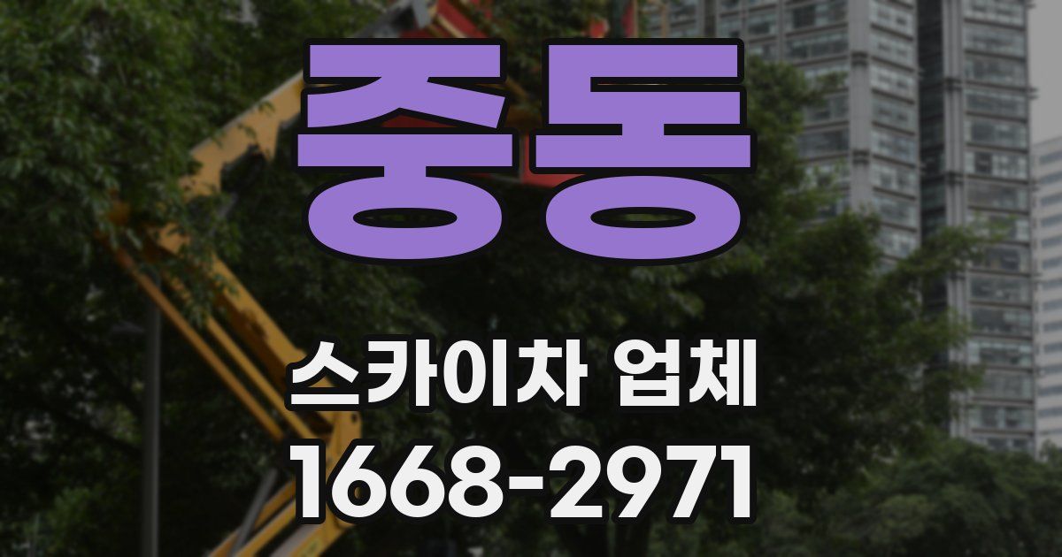 중동 스카이차 업체