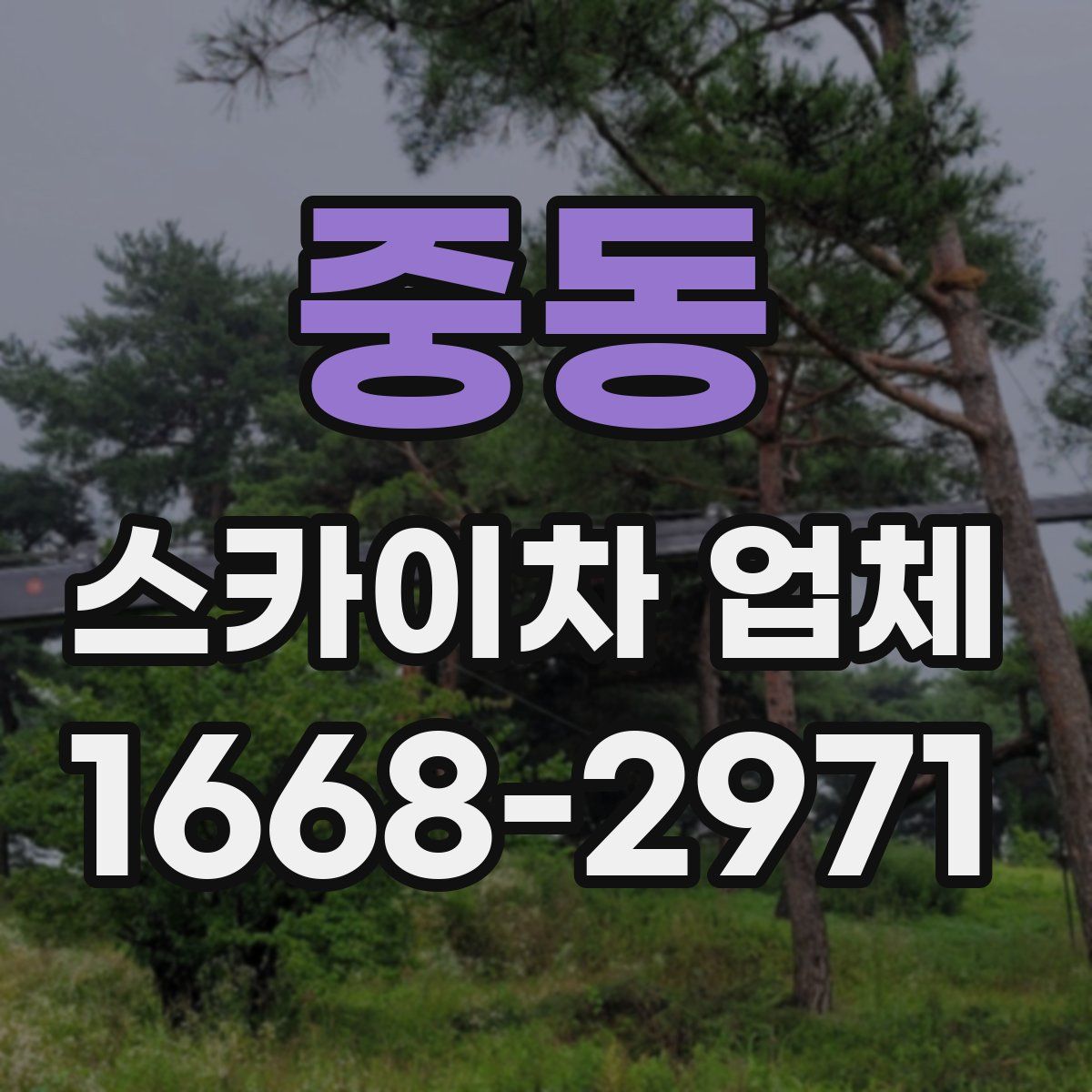 중동 스카이차 업체