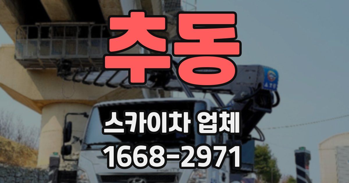 추동 스카이차 업체