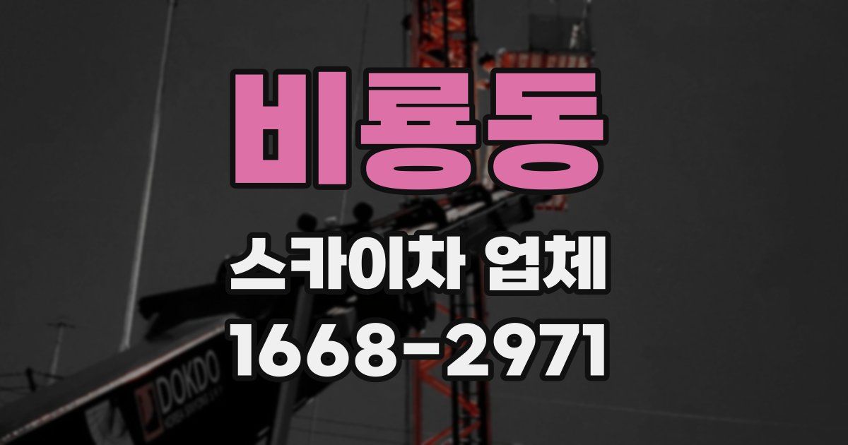 비룡동 스카이차 업체