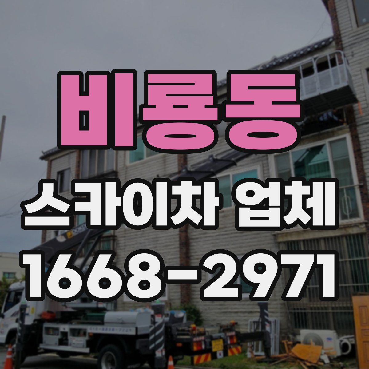 비룡동 스카이차 업체