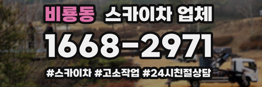 비룡동 스카이차 업체