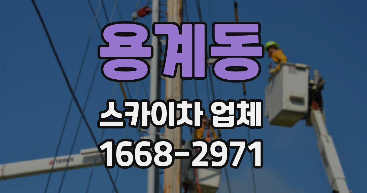 용계동 스카이차 업체