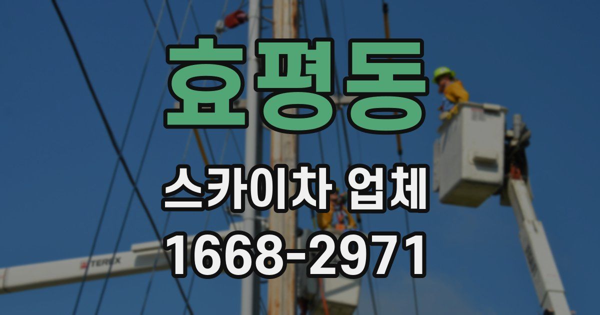 효평동 스카이차 업체
