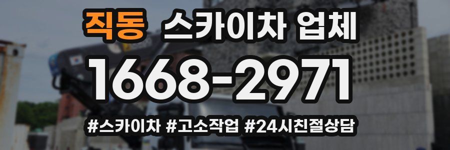 직동 스카이차 업체