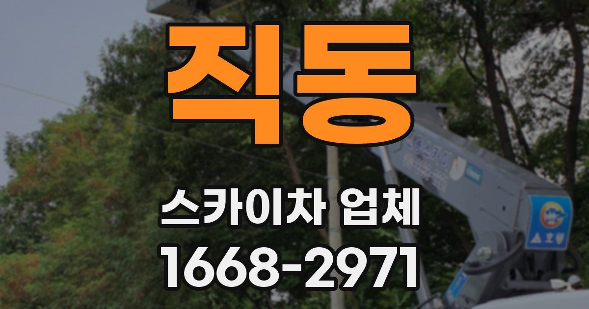 직동 스카이차 업체