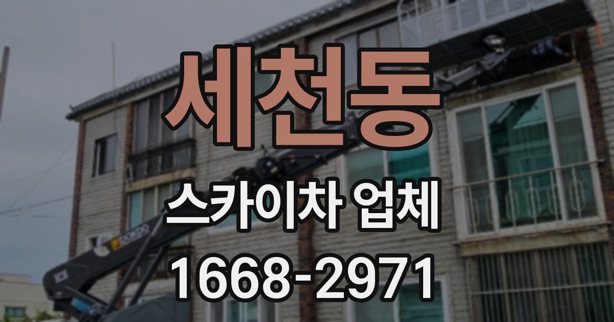 세천동 스카이차 업체