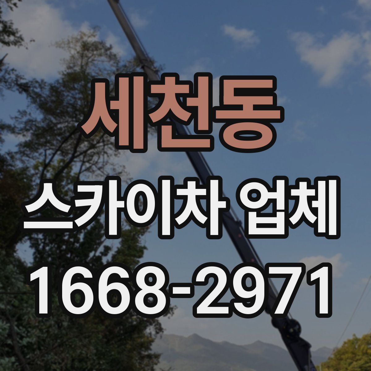 세천동 스카이차 업체