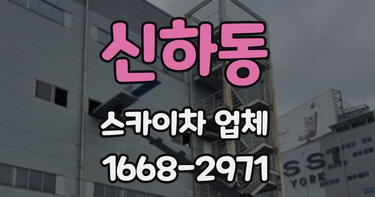신하동 스카이차 업체