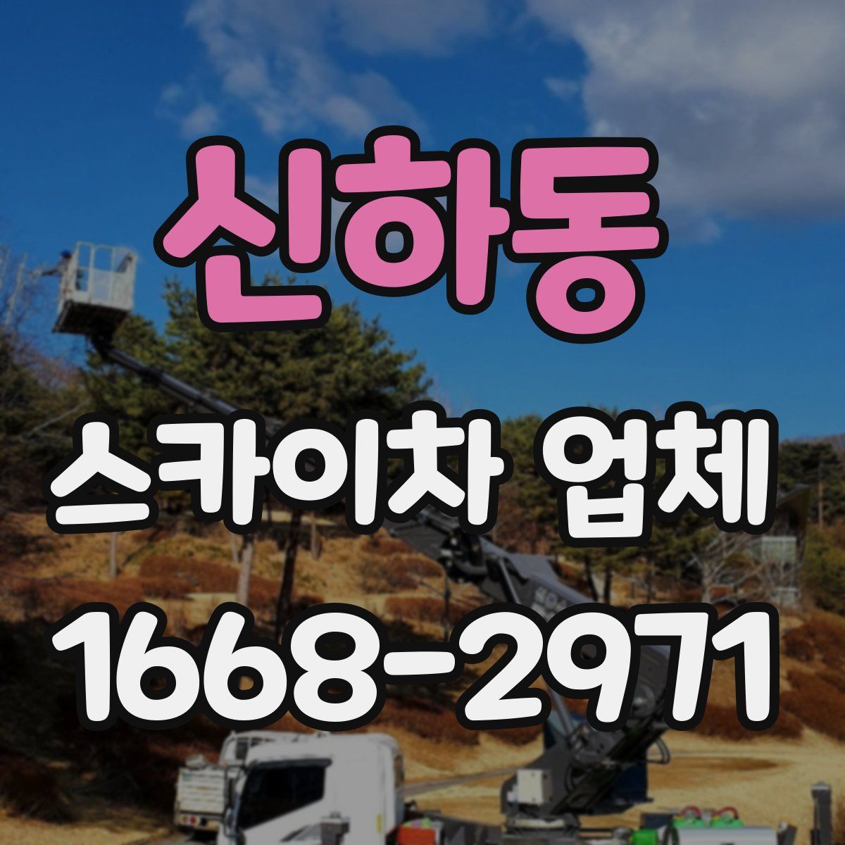 신하동 스카이차 업체
