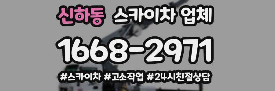 신하동 스카이차 업체