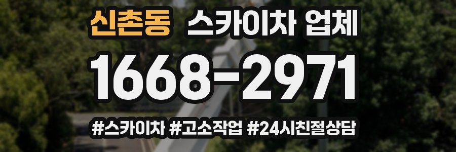 신촌동 스카이차 업체