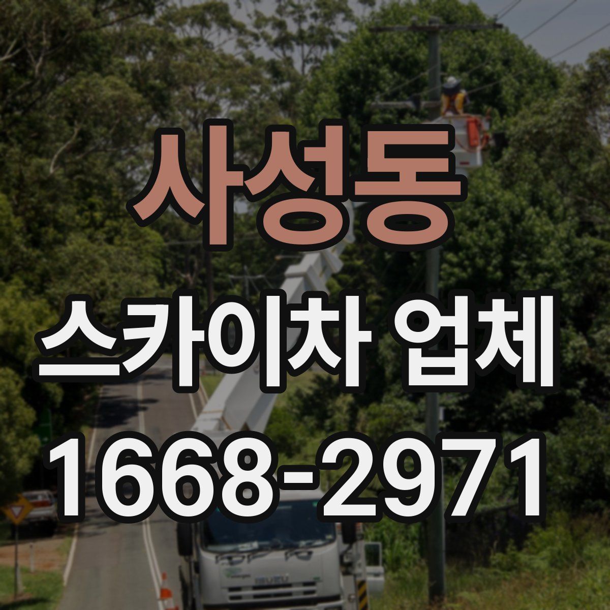 사성동 스카이차 업체