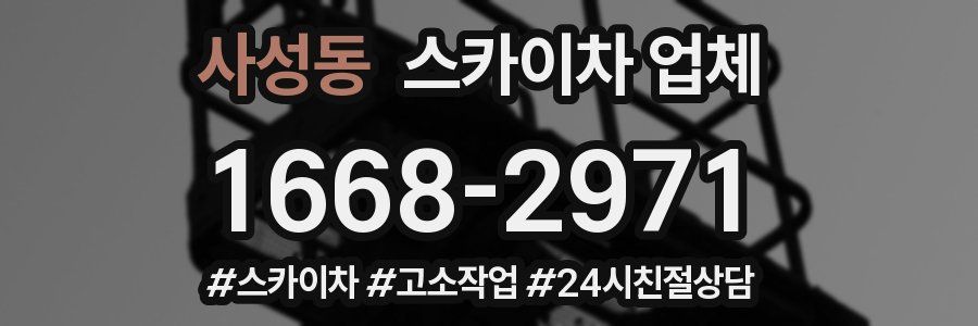 사성동 스카이차 업체