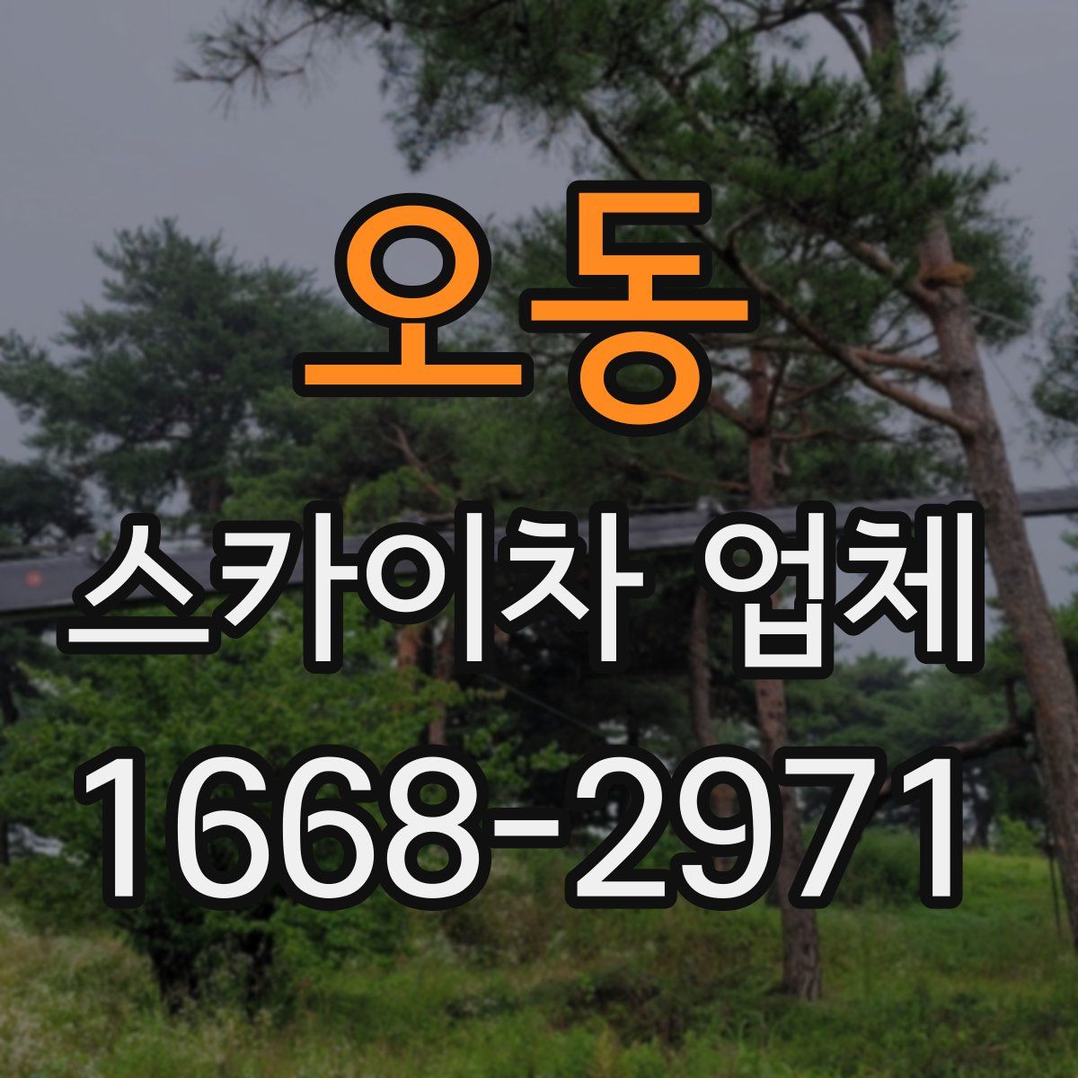 오동 스카이차 업체
