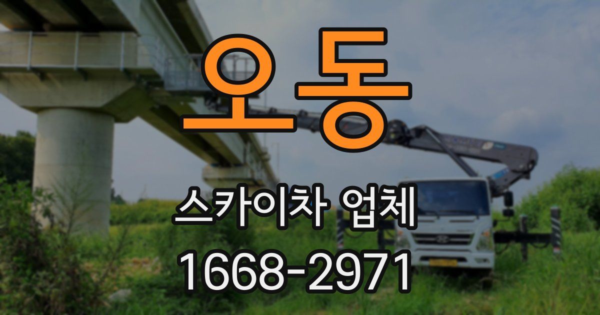 오동 스카이차 업체