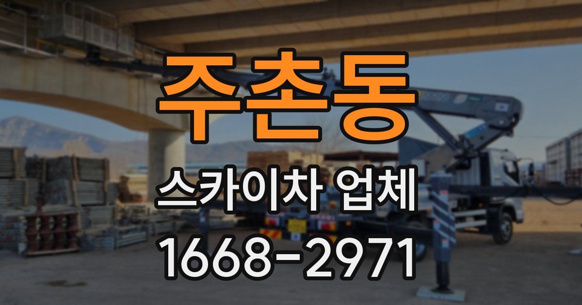 주촌동 스카이차 업체