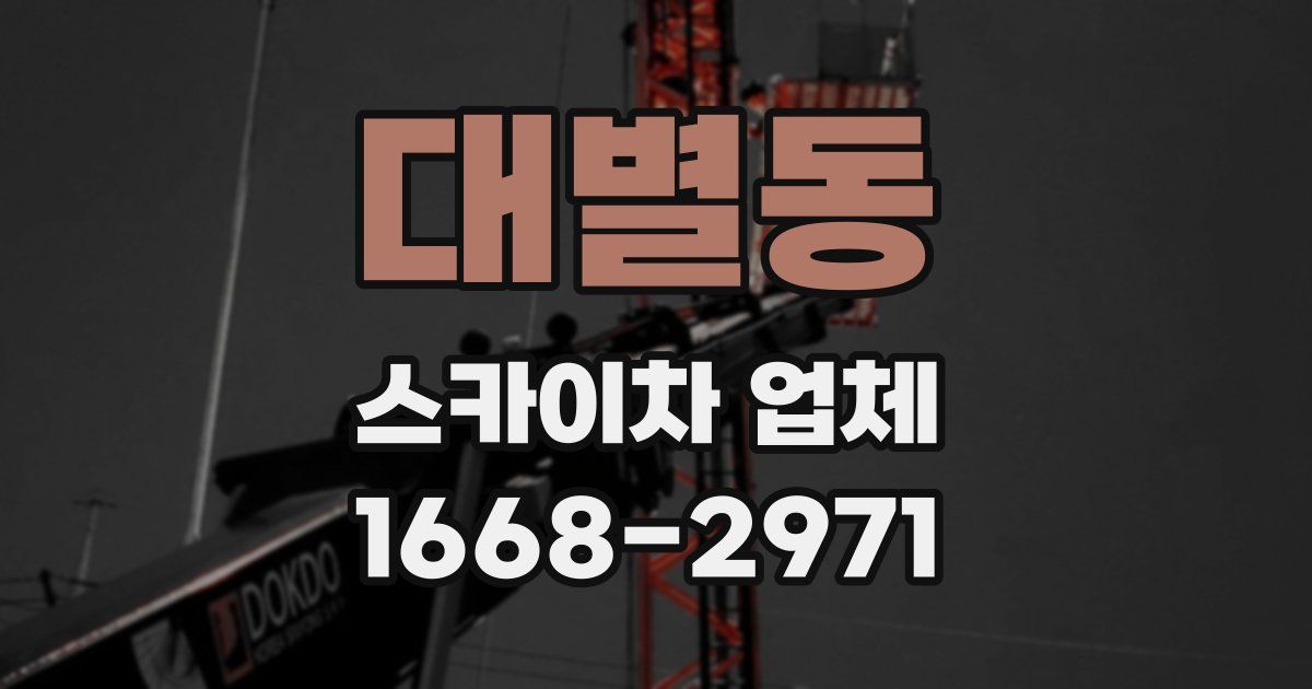 대별동 스카이차 업체