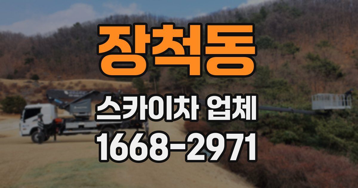 장척동 스카이차 업체