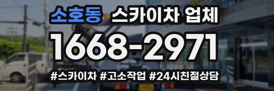 소호동 스카이차 업체